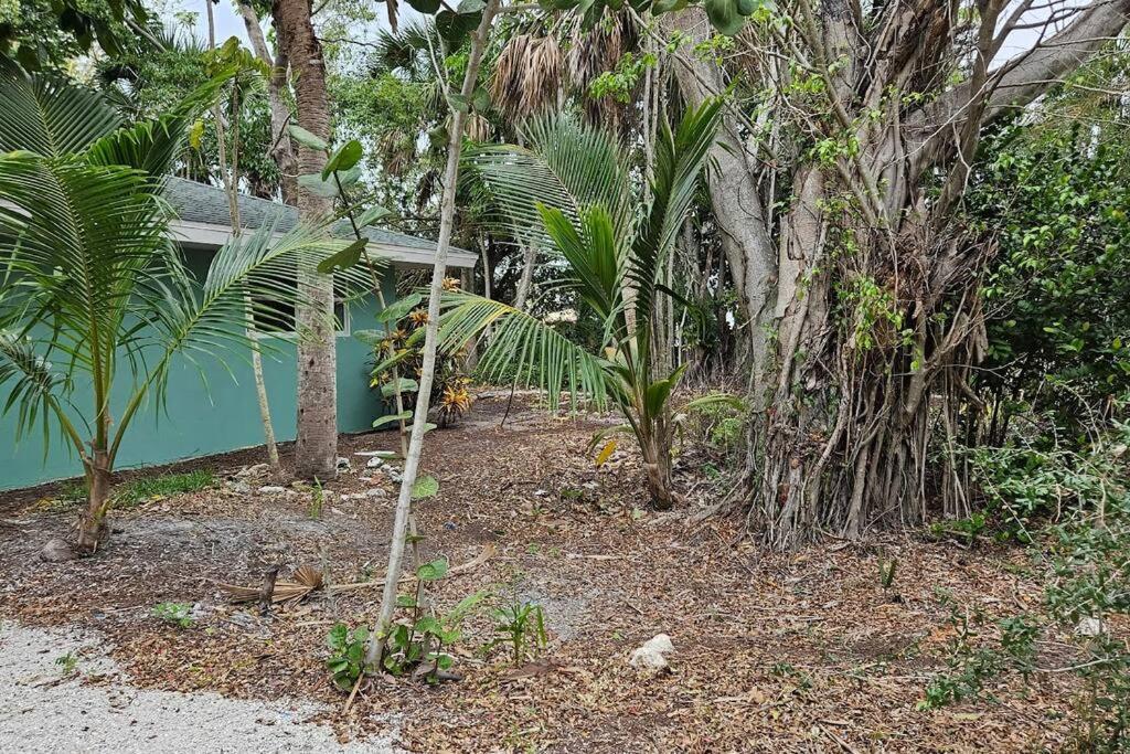 Blue Crab Dock On Gulf Canal Front Close 2 Beach Restaurants Bonita Springs Extérieur photo